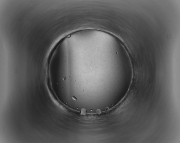 X0000088171515200705221611