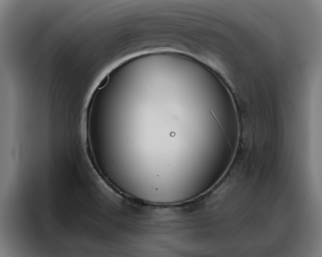 X0000088171516200705221611