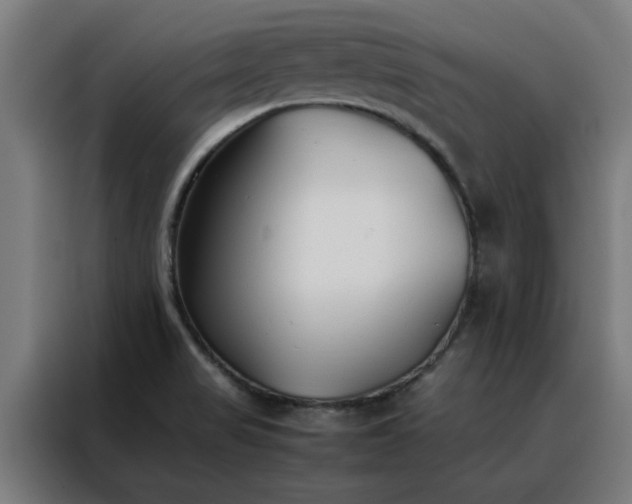 X0000088171517200705221611