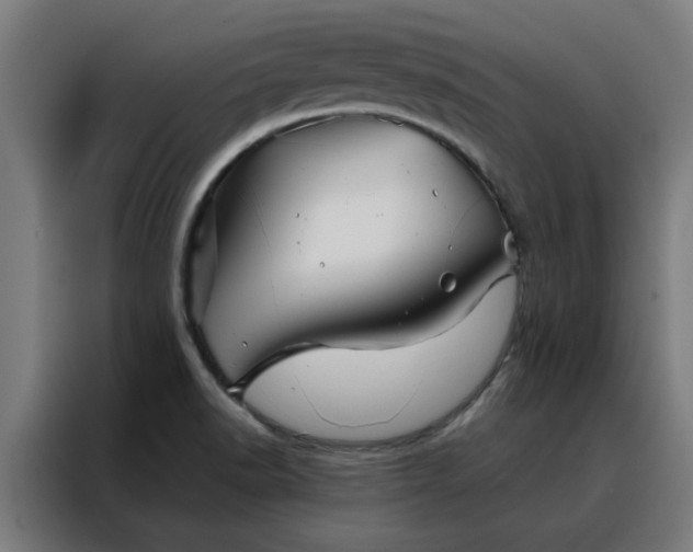 X0000088171518200705221611