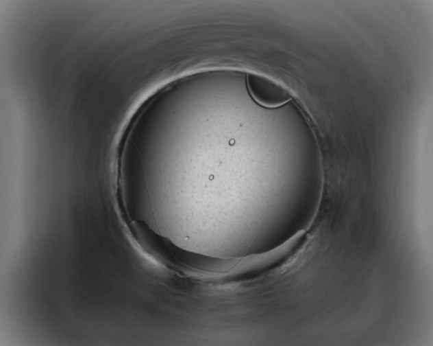 X0000088171519200705221611