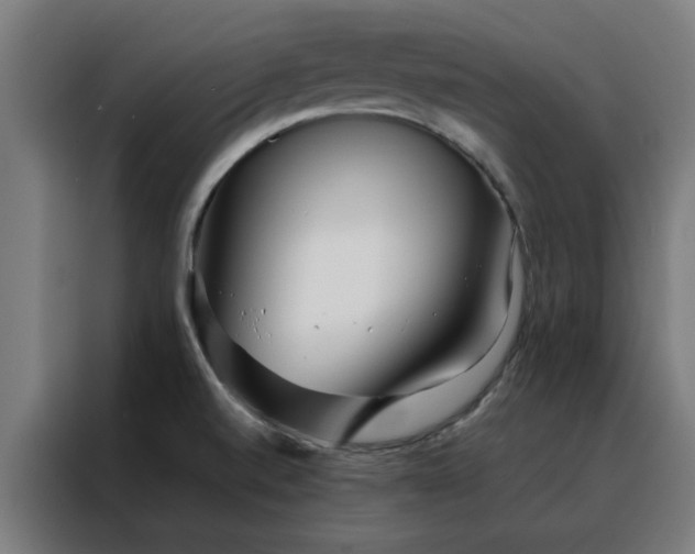 X0000088171520200705221611