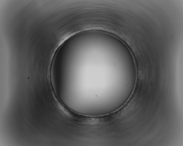 X0000088171521200705221611