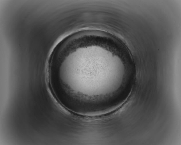 X0000088171522200705221611