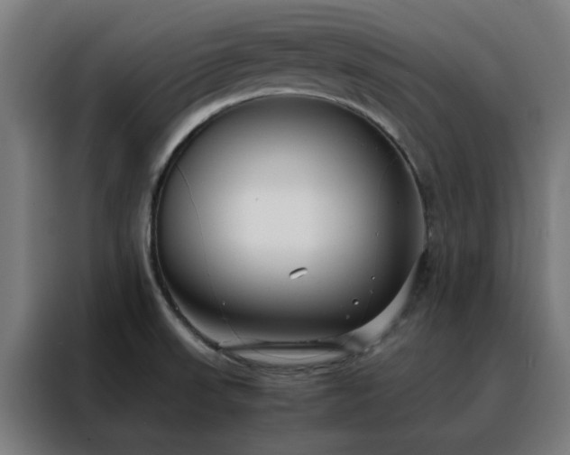 X0000088171523200705221611