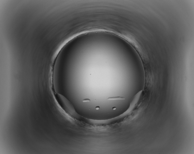 X0000088171524200705221611