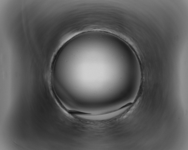 X0000088171525200705221611