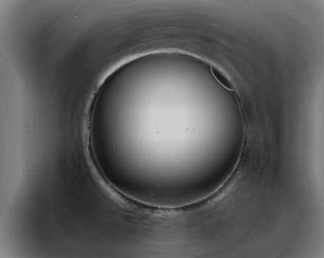 X0000088171526200705221611