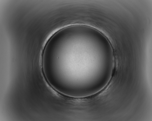 X0000088171527200705221611