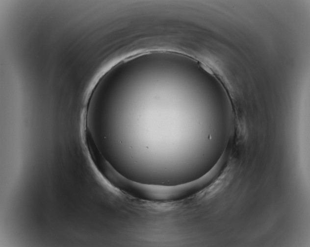 X0000088171528200705221611