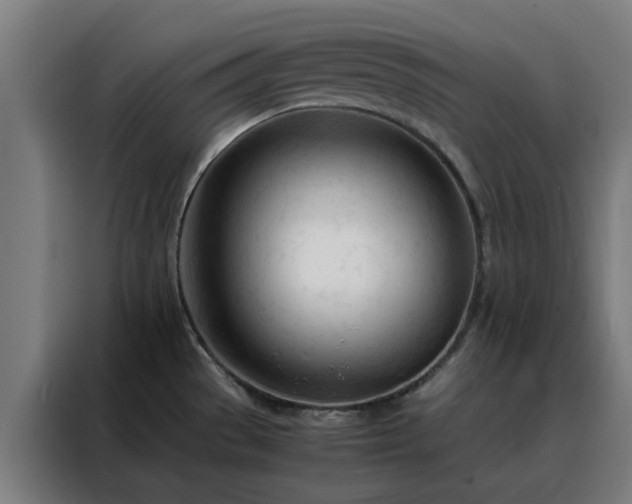 X0000088171529200705221611