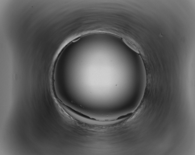 X0000088171530200705221611