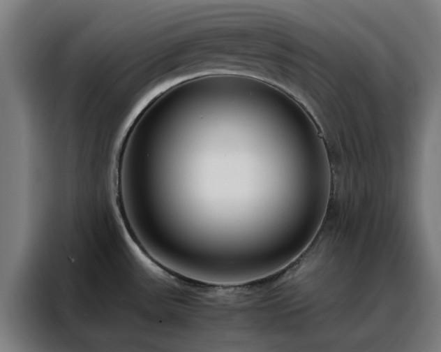 X0000088171531200705221611