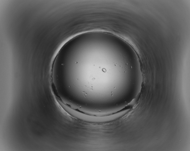 X0000088171532200705221611