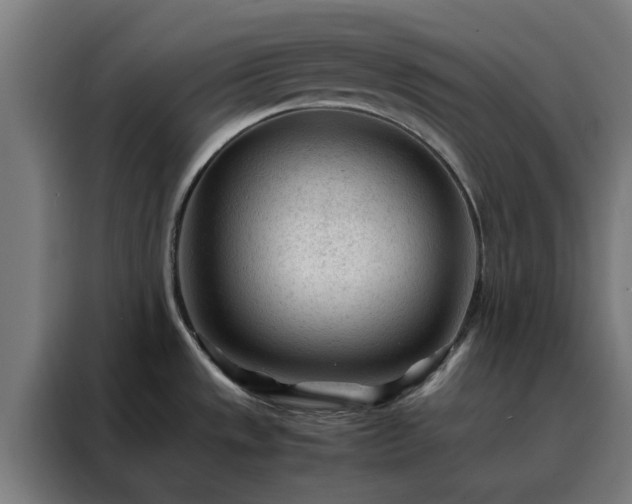 X0000088171533200705221611