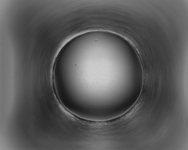 X0000088171535200705221611