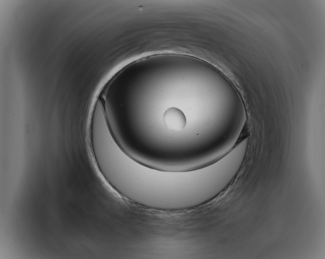 X0000088171536200705221611