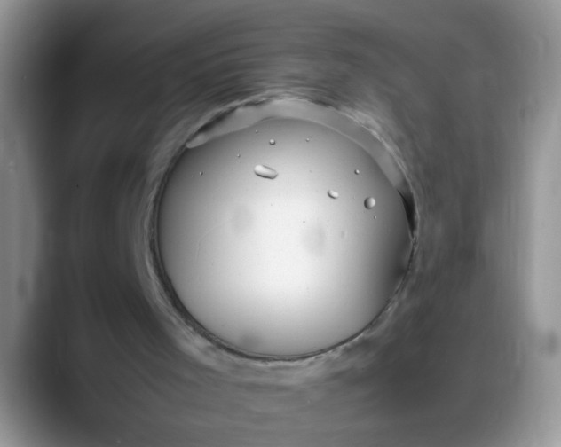 X0000088170001200705291941