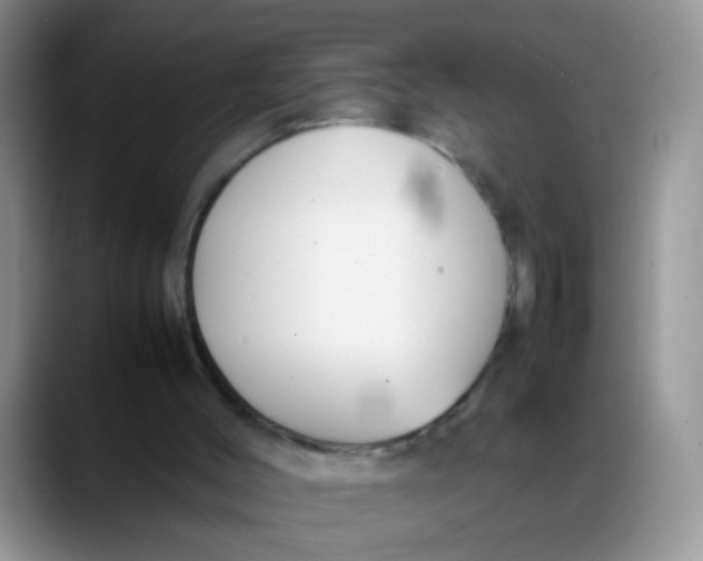 X0000088170004200705291941