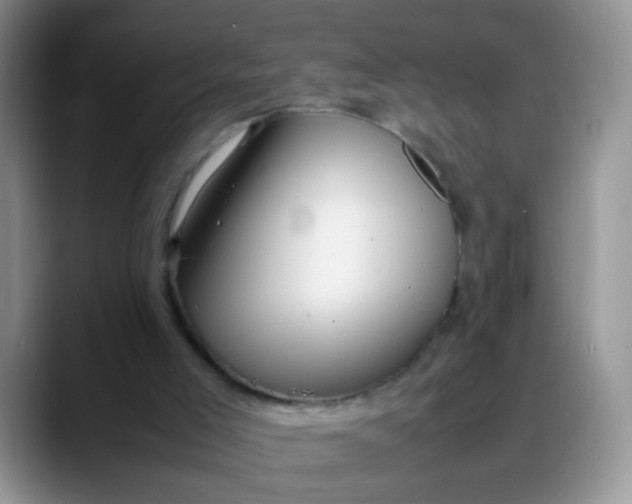 X0000088170005200705291941