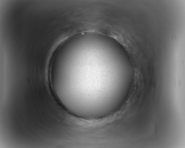 X0000088170006200705291941