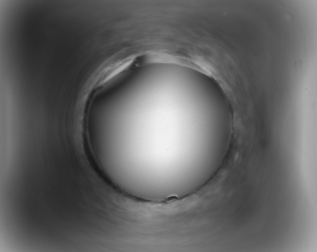 X0000088170007200705291941