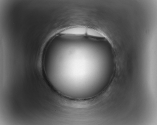 X0000088170008200705291941