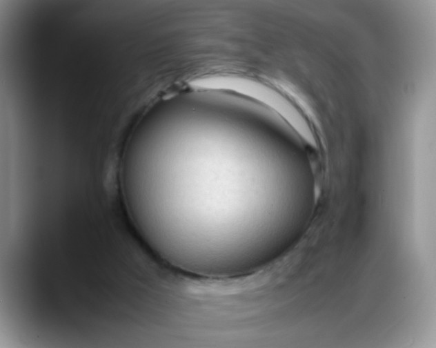 X0000088170009200705291941