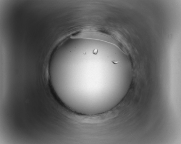 X0000088170011200705291941