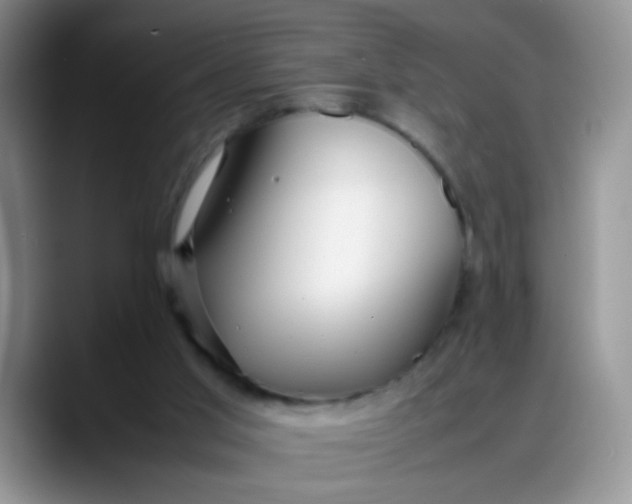 X0000088170013200705291941