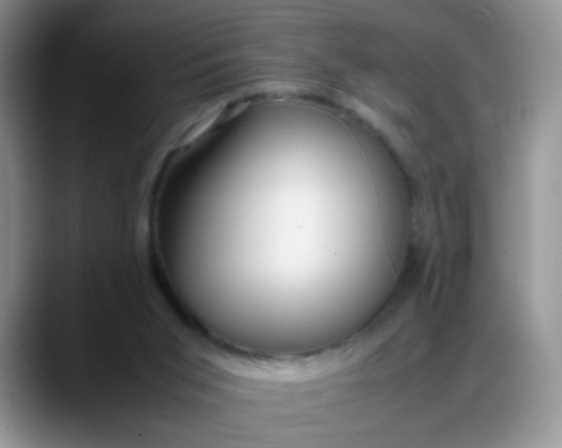 X0000088170015200705291941