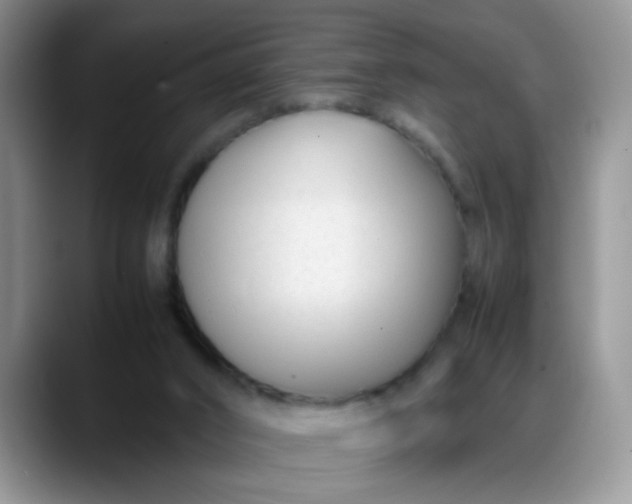 X0000088170016200705291941