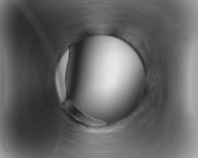 X0000088170017200705291941