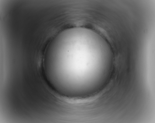 X0000088170018200705291941