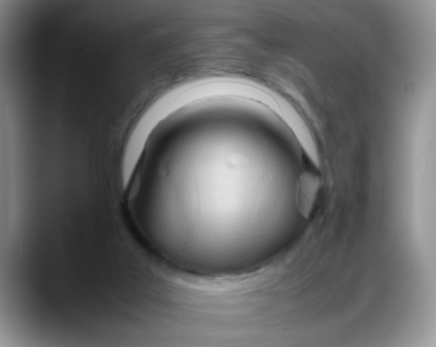 X0000088170019200705291941