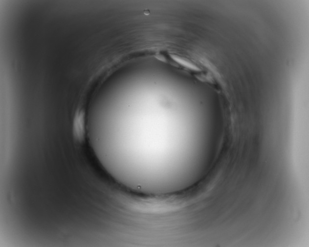 X0000088170020200705291941