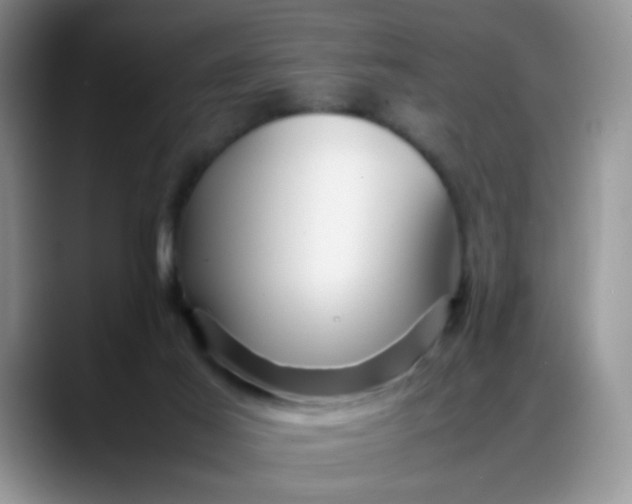 X0000088170021200705291941