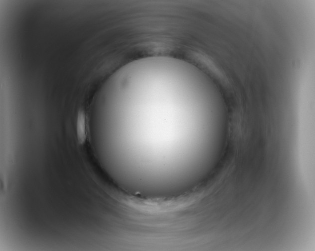 X0000088170022200705291941