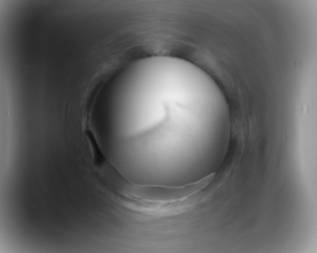 X0000088170023200705291941