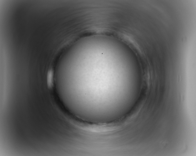 X0000088170024200705291941