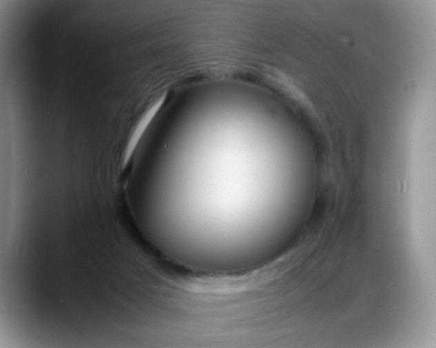 X0000088170025200705291941