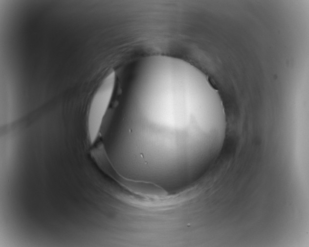 X0000088170027200705291941