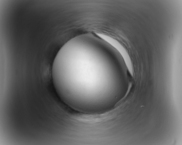 X0000088170029200705291941