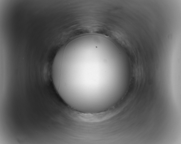 X0000088170030200705291941