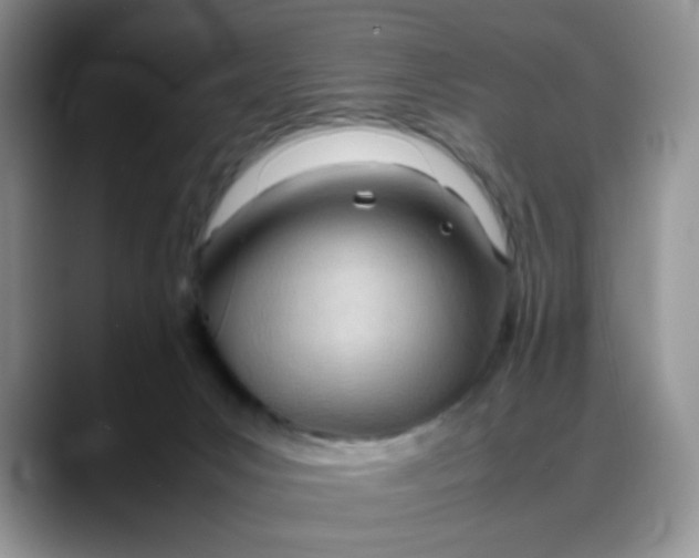 X0000088170031200705291941