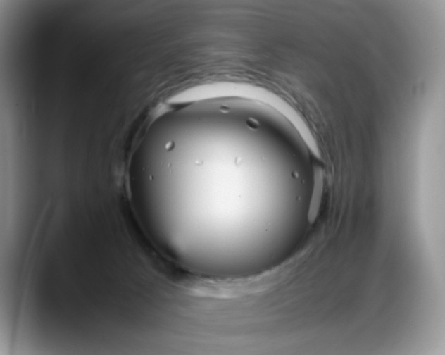 X0000088170033200705291941