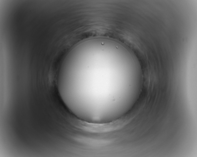 X0000088170034200705291941