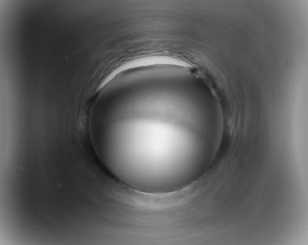 X0000088170035200705291941