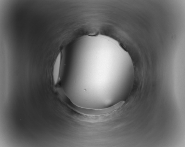 X0000088170037200705291941