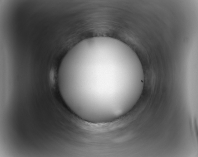 X0000088170038200705291941